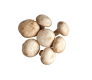 fresh mushrooms