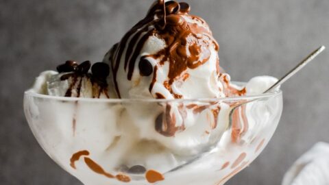 Basic Ninja CREAMi Ice Cream - Trim Healthy Mama