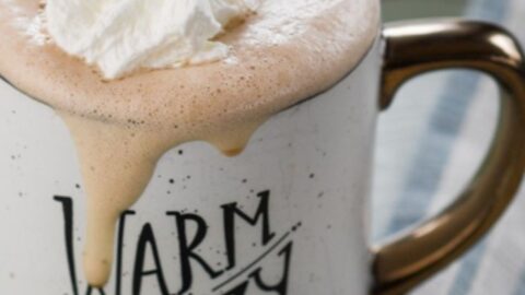 Frothy Hot Mocha - Trim Healthy Mama