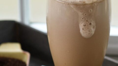 Frozen Mocha - Trim Healthy Mama
