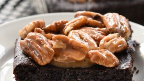 Pay Off Day Brownies - Trim Healthy Mama